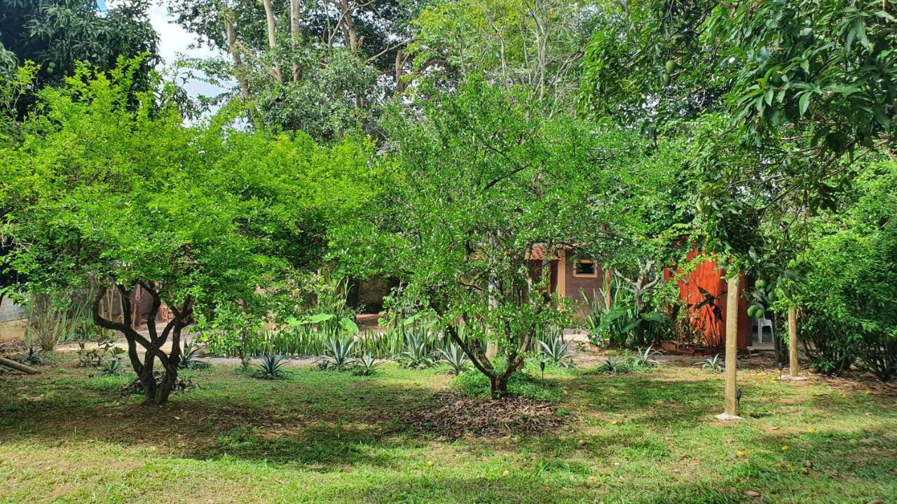 Free Soul House - Localizacao Ideal No Centrinho Alto Paraíso de Goiás Exteriör bild